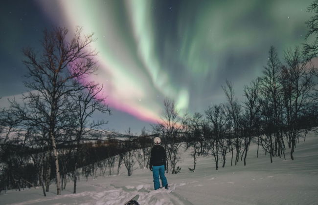 Bjørnfjell Mountain Lodge - Photo 44