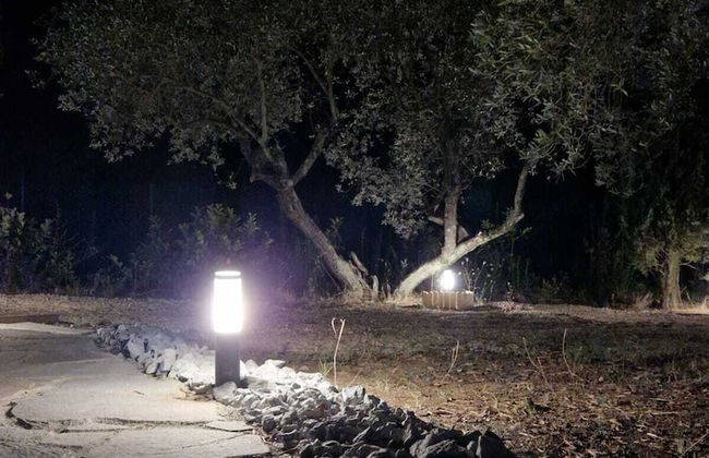 Domus Tuscia - Photo 23