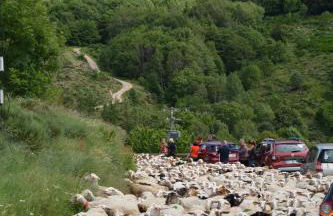 Gite Mont Lozère - Foto 36