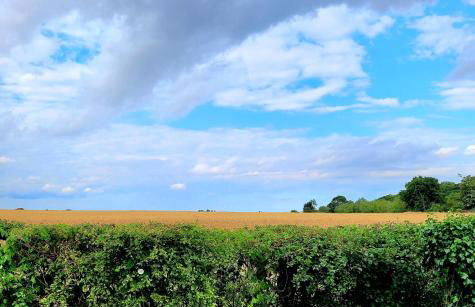 Badgers Rest Loddon - Foto 20