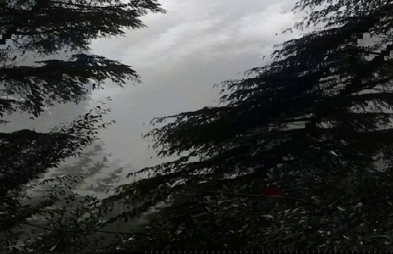 Hotel Dev Cottage - Foto 64