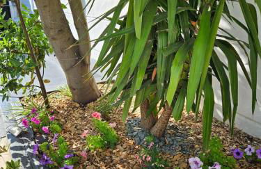 Le Jardin 28 - Foto 37