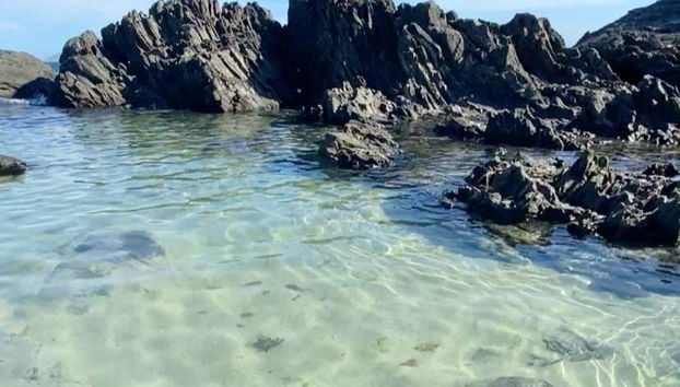 Cabo Frío Day Trip - Foto 3