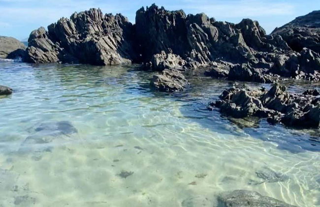 Cabo Frío Day Trip - Photo 3