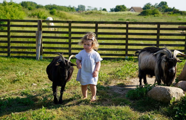 Reetland am Meer - Photo 39