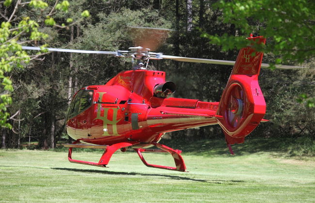 Woodlands Rainforest Retreat - Foto 2