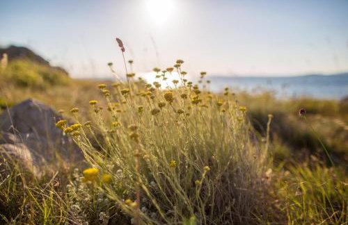 apartments VIGI - Foto 43