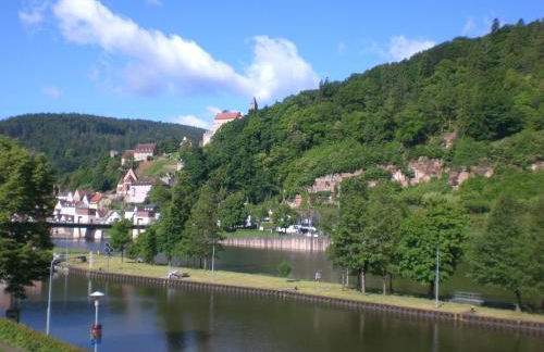 Romantisches Hirschhorn am Neckar - Photo 25