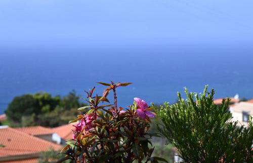 Vista Romantica Madeira - Photo 11