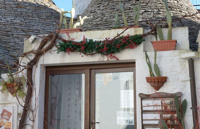 Giardino dei Trulli - Foto 30