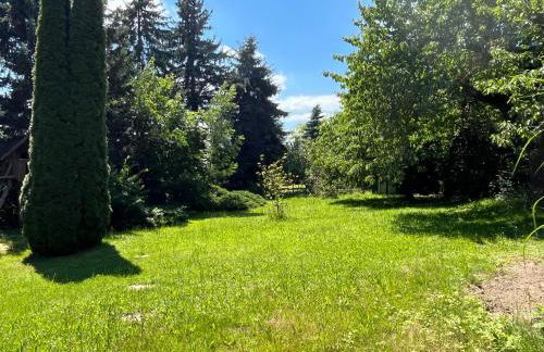 Zum Müntzer - Foto 2