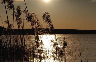 Domek w Borach Tucholskich - Wycinki - Foto 34