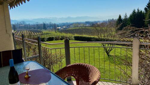 Ferienwohnung Weinberg-Idyll - Traumhafter Blick über Weinberge auf den Bodensee - Foto 2