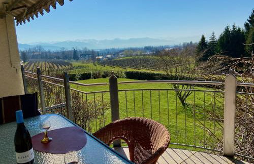 Ferienwohnung Weinberg-Idyll - Traumhafter Blick über Weinberge auf den Bodensee - Foto 2