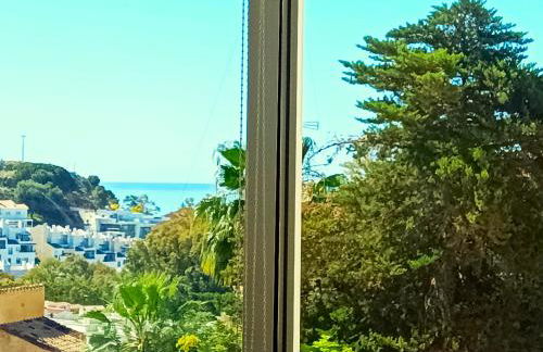 Flamencos del cerrado - Photo 39