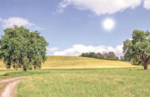 Lovely Home In Krems Iiwarderbrück - Foto 30