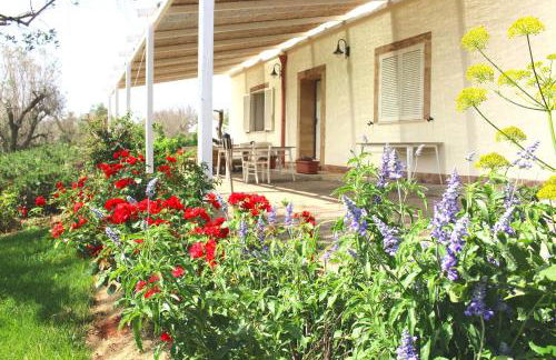 Planifolia - Foto 19