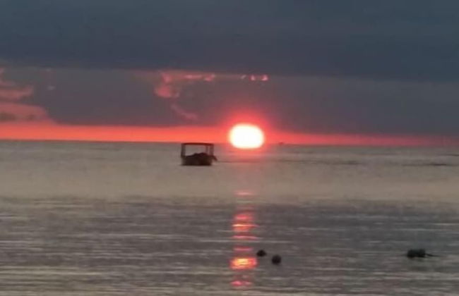 Seacret Studios - Cozy Jamaican Retreat Apts by RedAwning - Photo 7