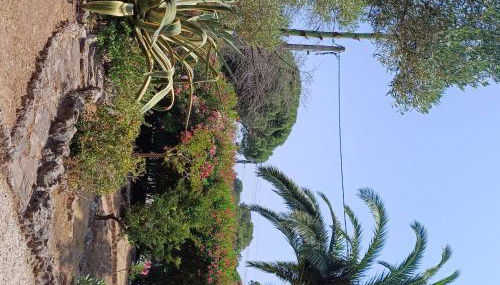 Lesmiens - Foto 3, Garden view