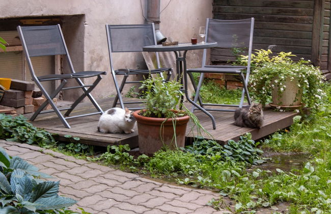 Bohemian flat Old town Tartu Home Apt. - Foto 28