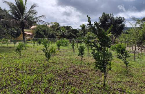 Pousada Chácara Pau - Brasil - Foto 7