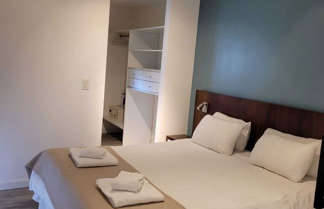 Color Botanico - Photo 40