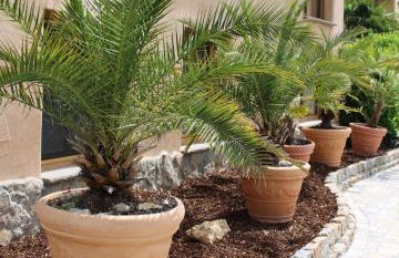 Ferienapartment Wilma - Foto 44