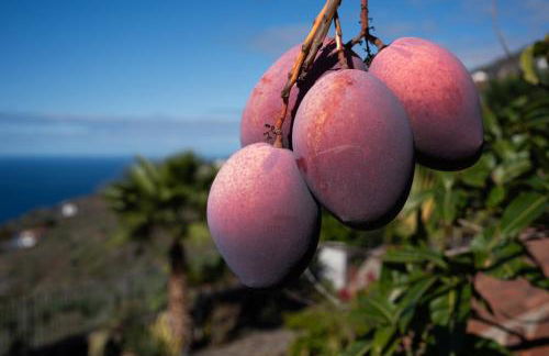 Casa Rural Los Mangos - Foto 22