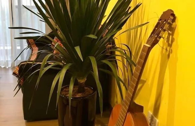 Ecopark Apartment Hung yen - Foto 7