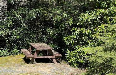 Cozy & Peaceful View - Walk2Resort - Fireplace - Foto 31