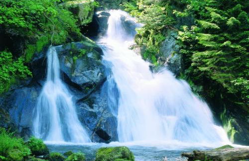 KM Apartment - Foto 19