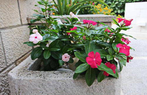 Green Garden House - Foto 69