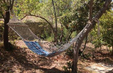 Apartments Hortenzija - Photo 29