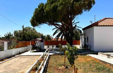 Limnos Twin Pine - Foto 8