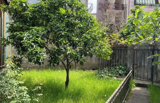 Kalpazo Tirana Vila 313 - Foto 36