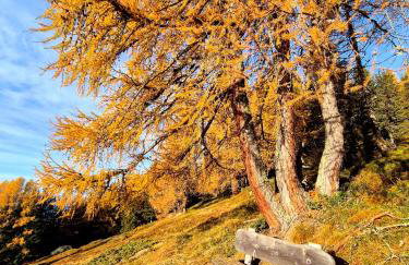 Seeberhof - Urlaub am Bauerhof - Foto 10