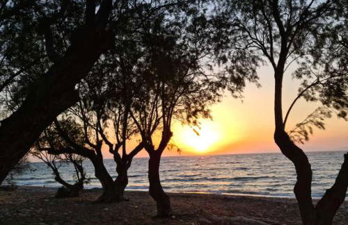 Lambou Beach Sunset - Foto 28