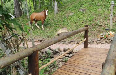 Cabanas dos Plátanos - Foto 45