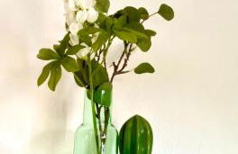 Die Zeitwohnung - Foto 7