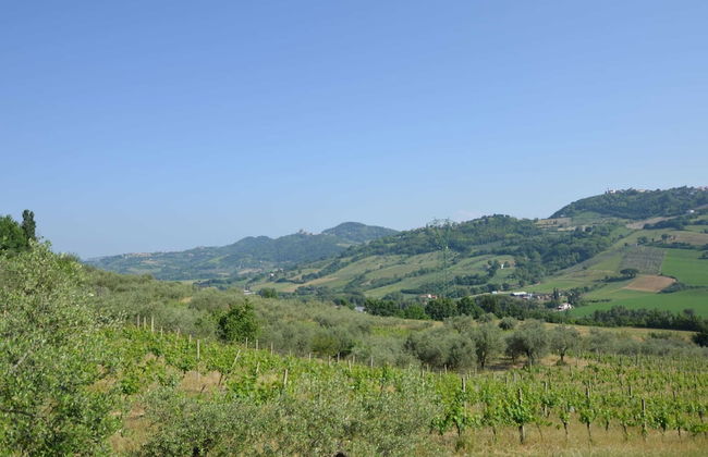 Holiday Home Monte Colombo Wine & Culture - Foto 20