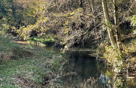 Restful Riverside Home - Foto 24