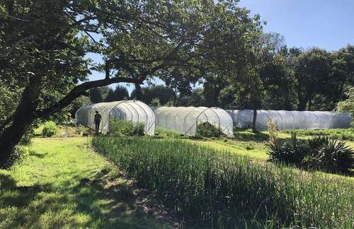 La Terre Ferme - Au cœur d'une ferme maraîchère - Foto 16