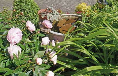 Haus Hilgarth - Foto 15