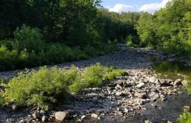 Catskills Quaint Cottage with Peloton Minutes from Hiking - Foto 22