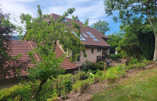 Residenz Dabo Panorama in den Vogesen, 5 Zimmer, modern und großzügig, 2 Balkons, Terrasse, Garten - Foto 3