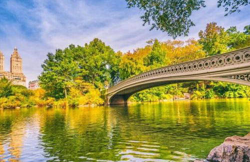 2 Bedroom Apt in LIC, Private WITH BACKYARD ! - Foto 23