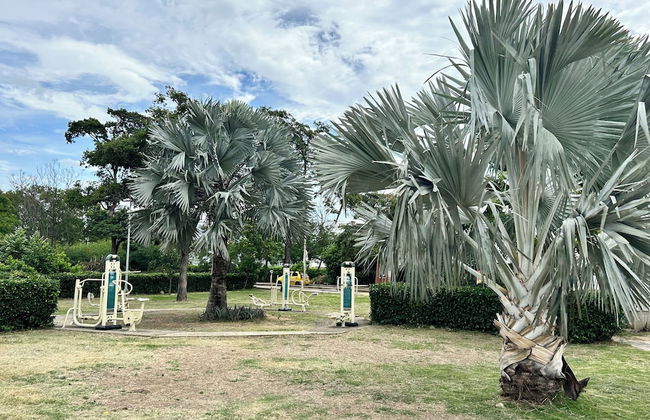 Lindo apartamento 3 habitaciones - Foto 13