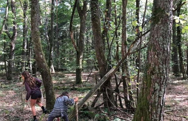 Holiday Home 2 Under the Trees - Photo 18