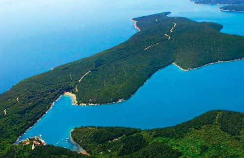 Sea apartment by beach Vine, olive oil tasting, kajaks, grill - Photo 65