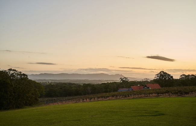 Wandin Valley Estate - Photo 22